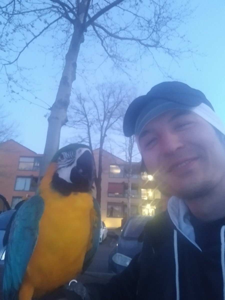 Foto von dariinsturment313